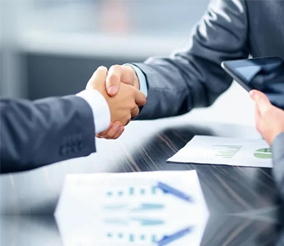 PROJECT BASED CONSULTING SERVICES