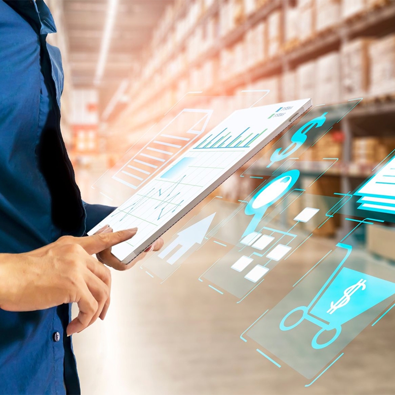 Project based consulting services